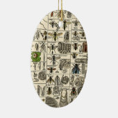 ヴィンテージの昆虫学 セラミックオーナメント (右)