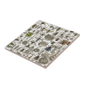 ヴィンテージの昆虫学 タイル (側面)