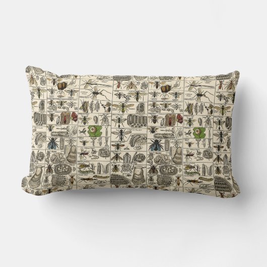 ヴィンテージの昆虫学 ランバークッション (正面)