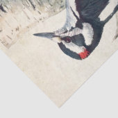 ヴィンテージの木こり鳥のパーチメントの分離自然 薄葉紙 (詳細)