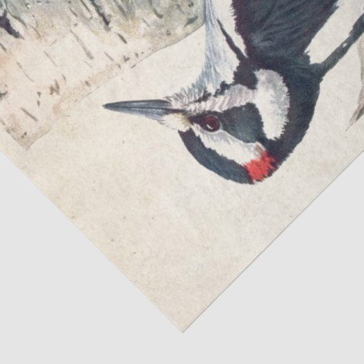 ヴィンテージの木こり鳥のパーチメントの分離自然 薄葉紙 (詳細)