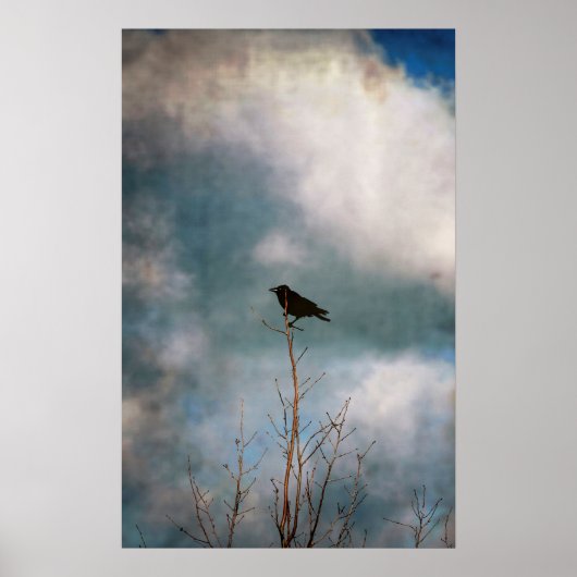 ヴィンテージの木のカラスの写真 ポスター (正面)