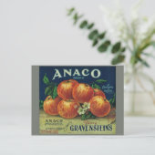 ヴィンテージの果物箱ラベル ポストカード (スタンド正面)
