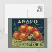 ヴィンテージの果物箱ラベル ポストカード (正面/裏面)