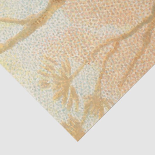 ヴィンテージの枝の上に絵を描孔雀 薄葉紙 (詳細)