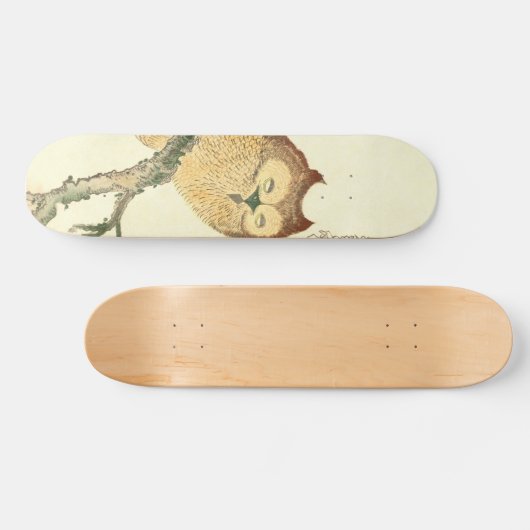 ヴィンテージの枝の日本のなファインアートのプリント|のフクロウ スケートボード (横)
