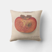 ヴィンテージの柿のアメリカ人のJoの枕 クッション (裏面)