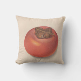 ヴィンテージの柿のアメリカ人のJoの枕 クッション