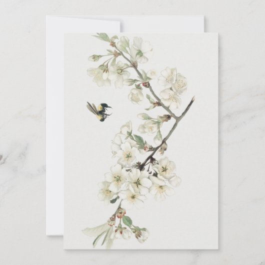 ヴィンテージの桜の花のイラスト 招待状 (正面)