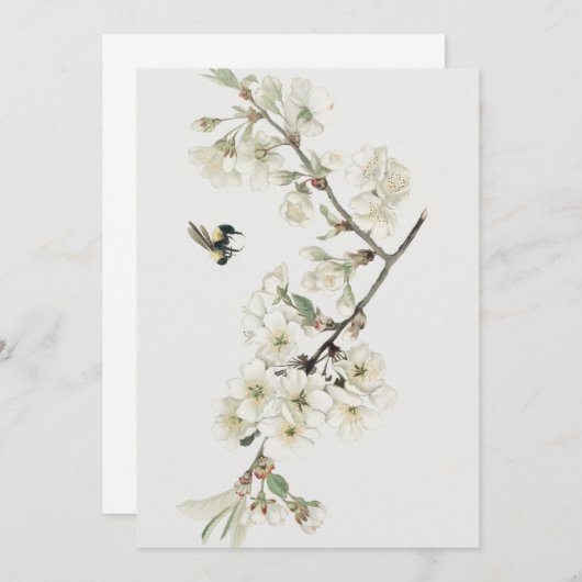 ヴィンテージの桜の花のイラスト 招待状 (正面/裏面)