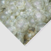 ヴィンテージの梨と花びら 薄葉紙 (詳細)