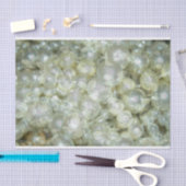 ヴィンテージの梨と花びら 薄葉紙 (クラフト)