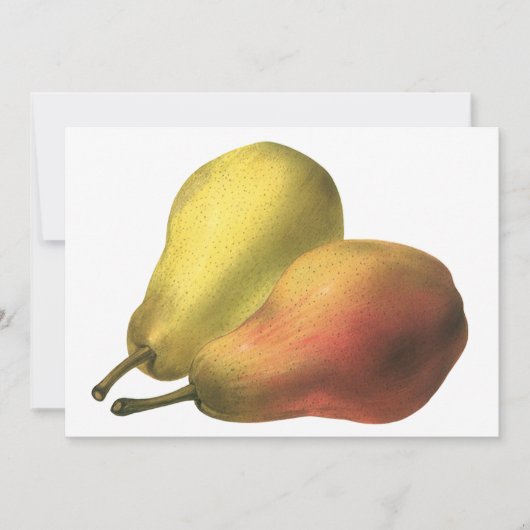 ヴィンテージの梨、オーガニックフード、熟した果物 (正面)