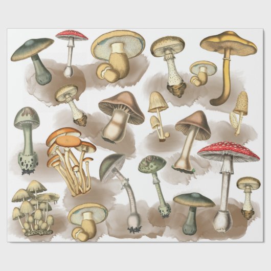 ヴィンテージの森のキノコの包み ラッピングペーパー (フラット)