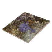 ヴィンテージの森林妖精および妖精6"タイル タイル (側面)