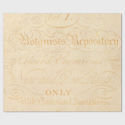 ヴィンテージの植物のクリーム色の黄色いタンの文字の羊皮紙 ラッピングペーパー (フラット)