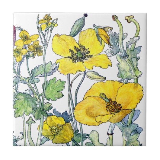 ヴィンテージの植物のケシの野生の花によってはタイルが開花します タイル (正面)