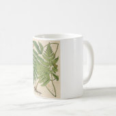 ヴィンテージの植物のプリント-シダ コーヒーマグカップ (正面右)