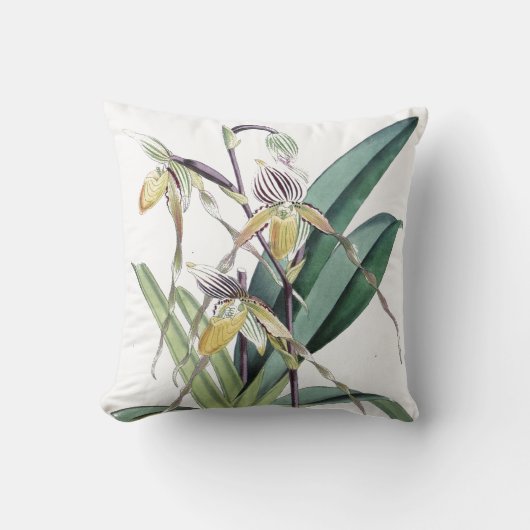 ヴィンテージの植物の熱帯蘭によっては花柄が開花します クッション (正面)
