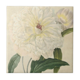 ヴィンテージの植物の白いシャクヤク タイル