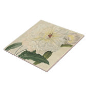 ヴィンテージの植物の白いシャクヤク タイル (側面)