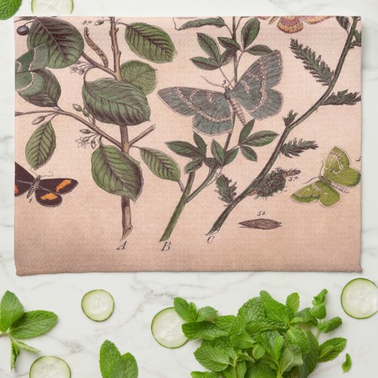 ヴィンテージの植物の花のイラストレーションの野生の花 キッチンタオル (折り畳み)