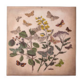 ヴィンテージの植物の花のイラストレーションの野生の花 タイル (正面)