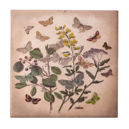 ヴィンテージの植物の花のイラストレーションの野生の花 タイル