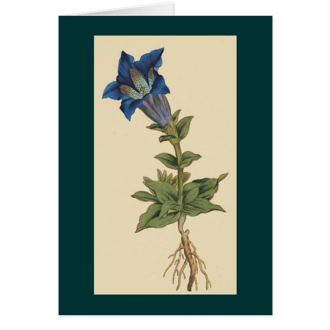 ヴィンテージの植物の花カード (正面)