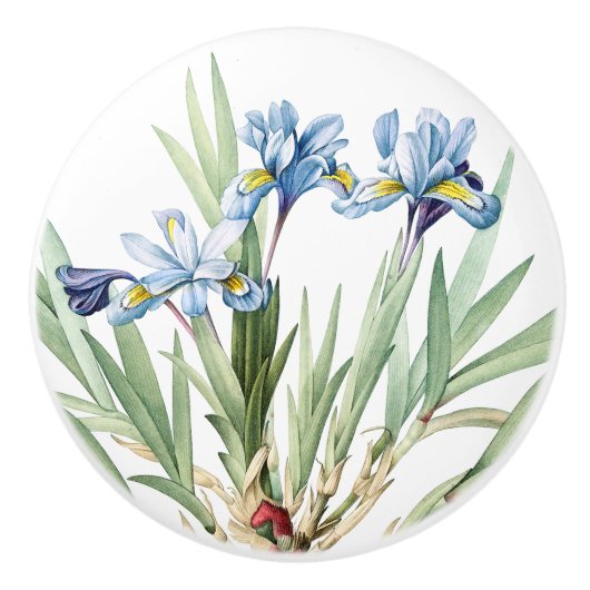 ヴィンテージの植物の青いアイリスによっては花のノブが開花します セラミックノブ (正面)