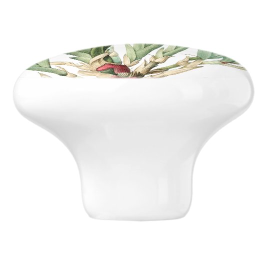 ヴィンテージの植物の青いアイリスによっては花のノブが開花します セラミックノブ (側面)