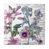 ヴィンテージの植物のMallowの野生の花によってはタイルが開花します タイル (正面)