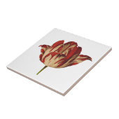 ヴィンテージの植物のRembrantのチューリップのセラミックタイル タイル (側面)