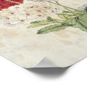 ヴィンテージの植物品種ヴェルベナス ポスター (角)