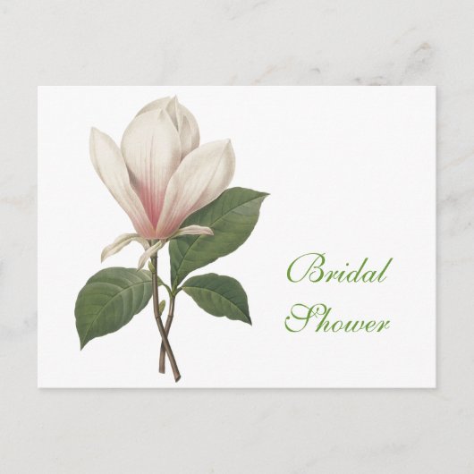 ヴィンテージの植物学のエレガントマグノリア花 インビテーションポストカード (正面)