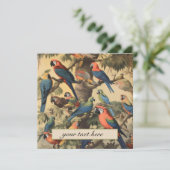 ヴィンテージの植物性のシーンパロットのカスタマイズ (スタンド正面)