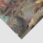 ヴィンテージの植物性の海の生命サンゴの魚の切り離 薄葉紙 (詳細)