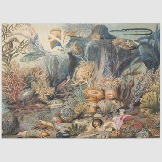 ヴィンテージの植物性の海の生命サンゴの魚の切り離 薄葉紙 (正面)