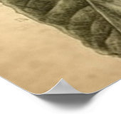 ヴィンテージの植物性イラストレーション ポスター (角)