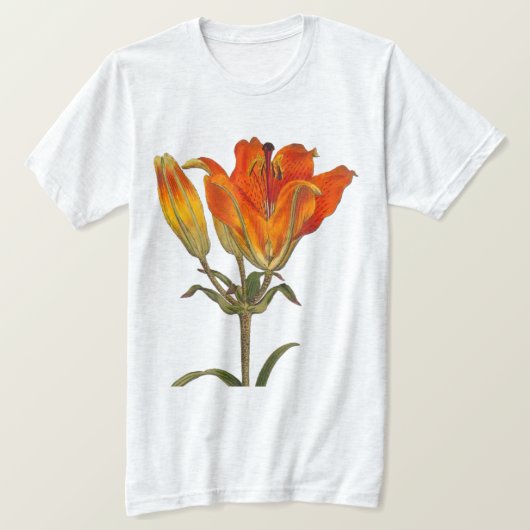 ヴィンテージの植物性イラストレーション Tシャツ (デザイン正面)