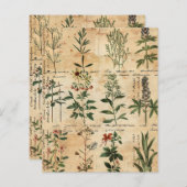 ヴィンテージの植物性ハーブスクラップブック紙 (正面/裏面)