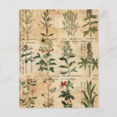 ヴィンテージの植物性ハーブスクラップブック紙 (裏面)