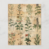 ヴィンテージの植物性ハーブスクラップブック紙 (正面)