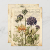 ヴィンテージの植物性ハーブスクラップブック紙 (正面/裏面)