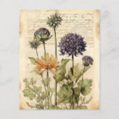 ヴィンテージの植物性ハーブスクラップブック紙 (裏面)