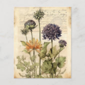 ヴィンテージの植物性ハーブスクラップブック紙 (正面)