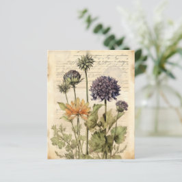 ヴィンテージの植物性ハーブスクラップブック紙