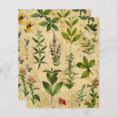 ヴィンテージの植物性ハーブスクラップブック紙 (正面/裏面)