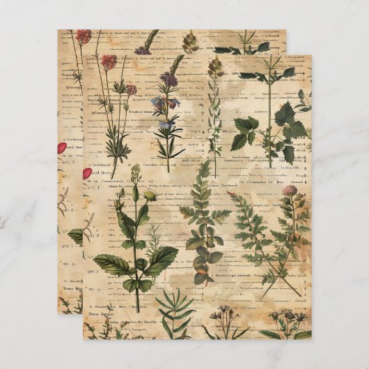 ヴィンテージの植物性ハーブスクラップブック紙 (正面/裏面)