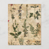 ヴィンテージの植物性ハーブスクラップブック紙 (正面)